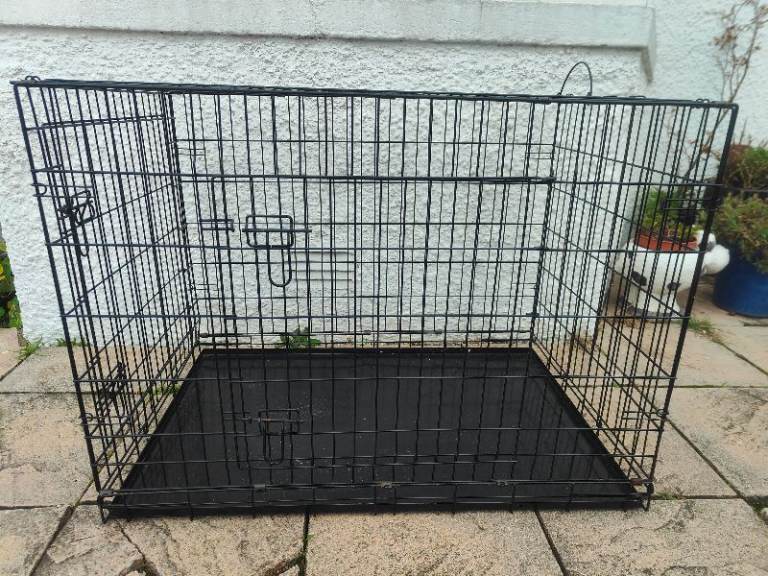 Large dog crate