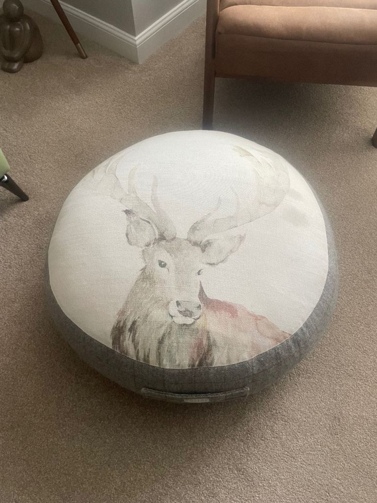 Floor cushion 