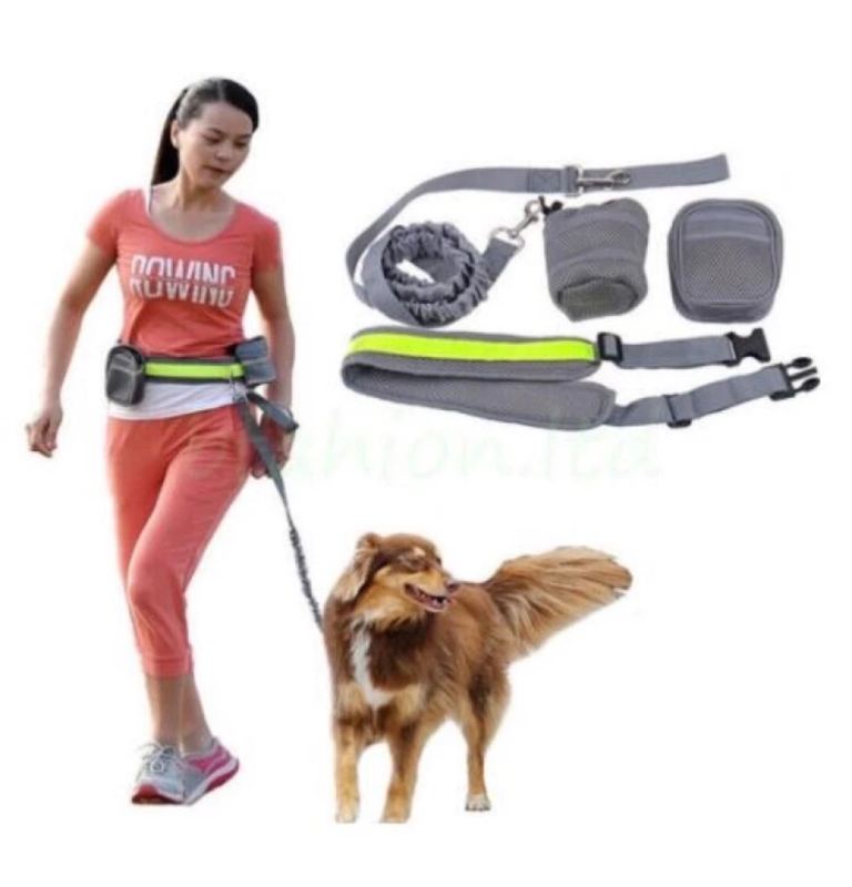 Hand free dog leash with bag