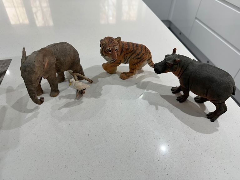 African/India Animals Tiger Elephant  Hippo