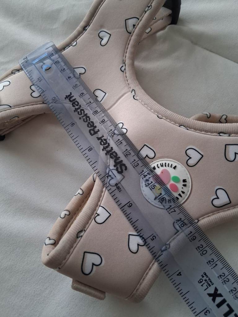 Pawchella harness