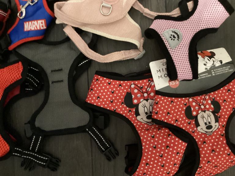 Bundle dog harnesses 