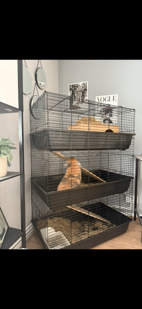3 tier rabbit/small pet cage 