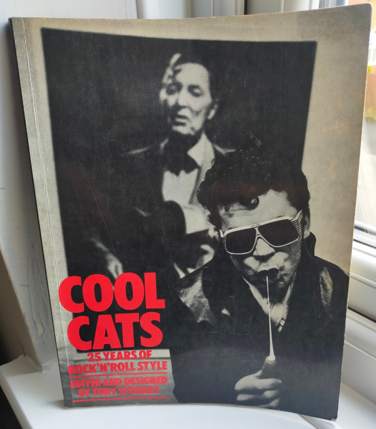 Cats in Newington, Edinburgh - Gumtree