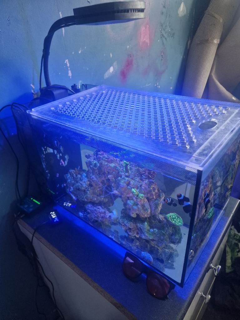 Fluval evo 13.5 marine aquarium 