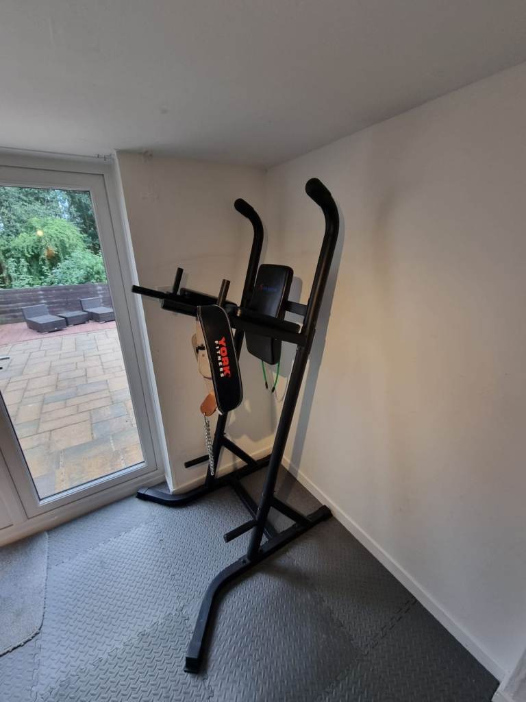 Gym master dip rack with weight belt