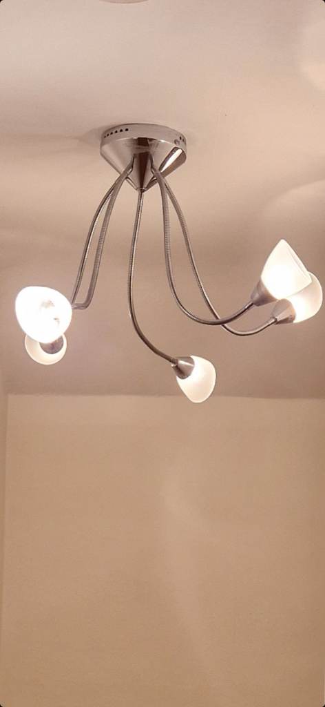 Multi Bulb Pendant Ceiling Lights