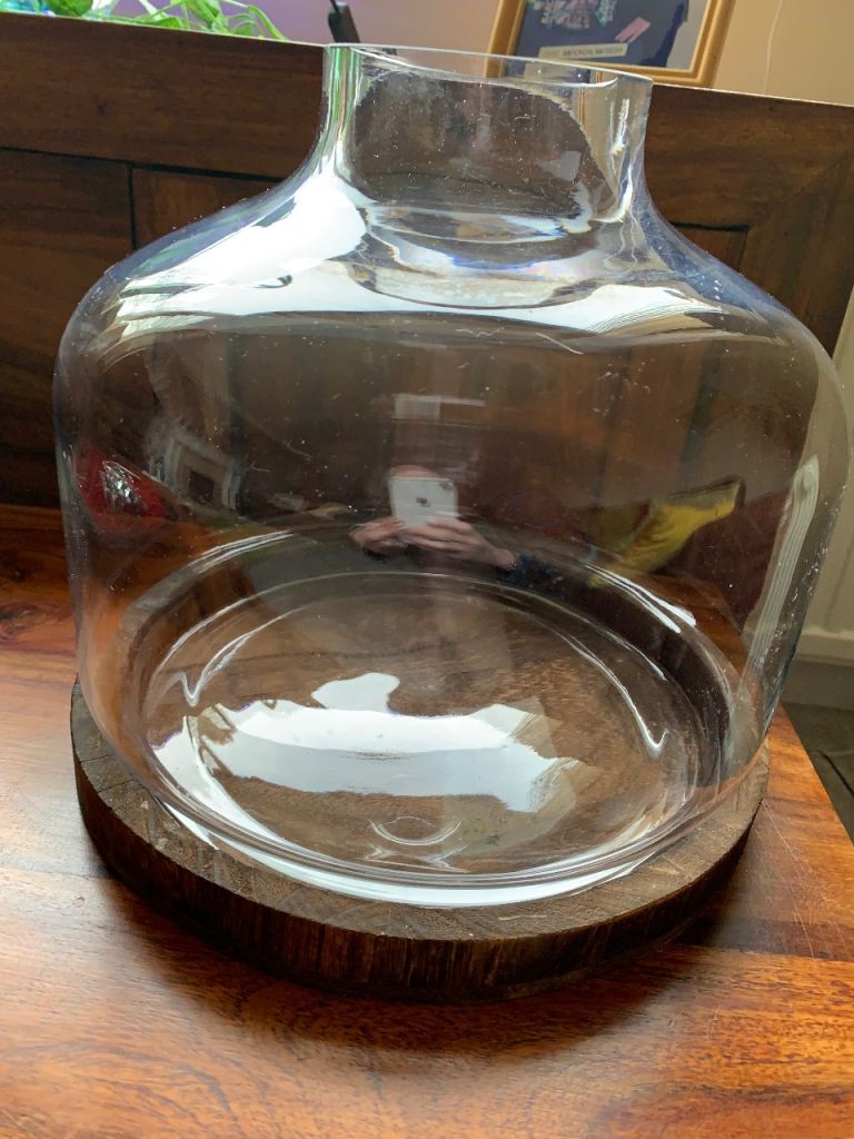 Cold water fish tank