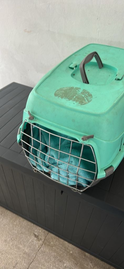 Pet Carrier
