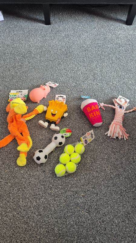Pet toys