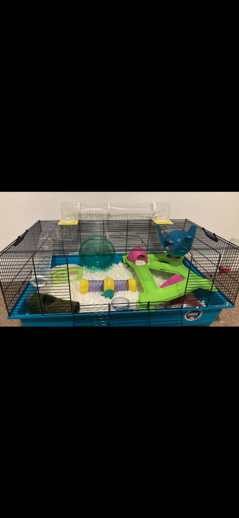 Hamster cage