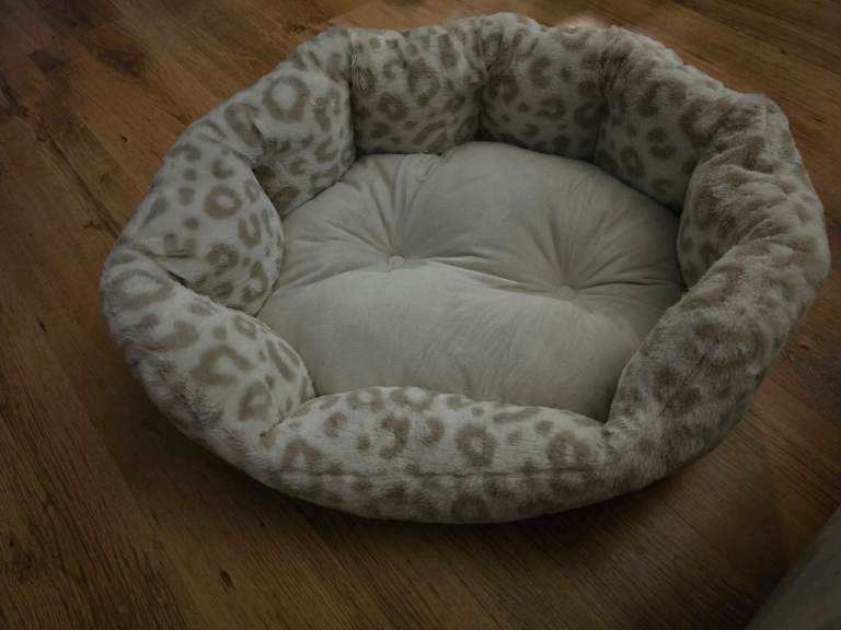 Cat bed 