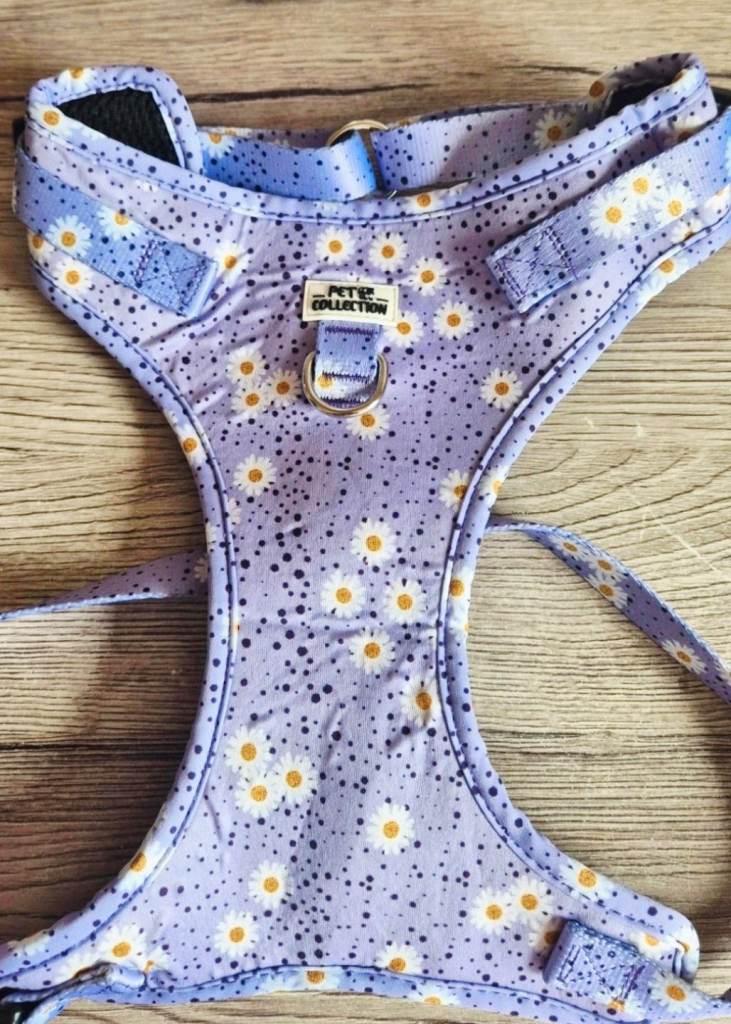 Dog Harness size Large