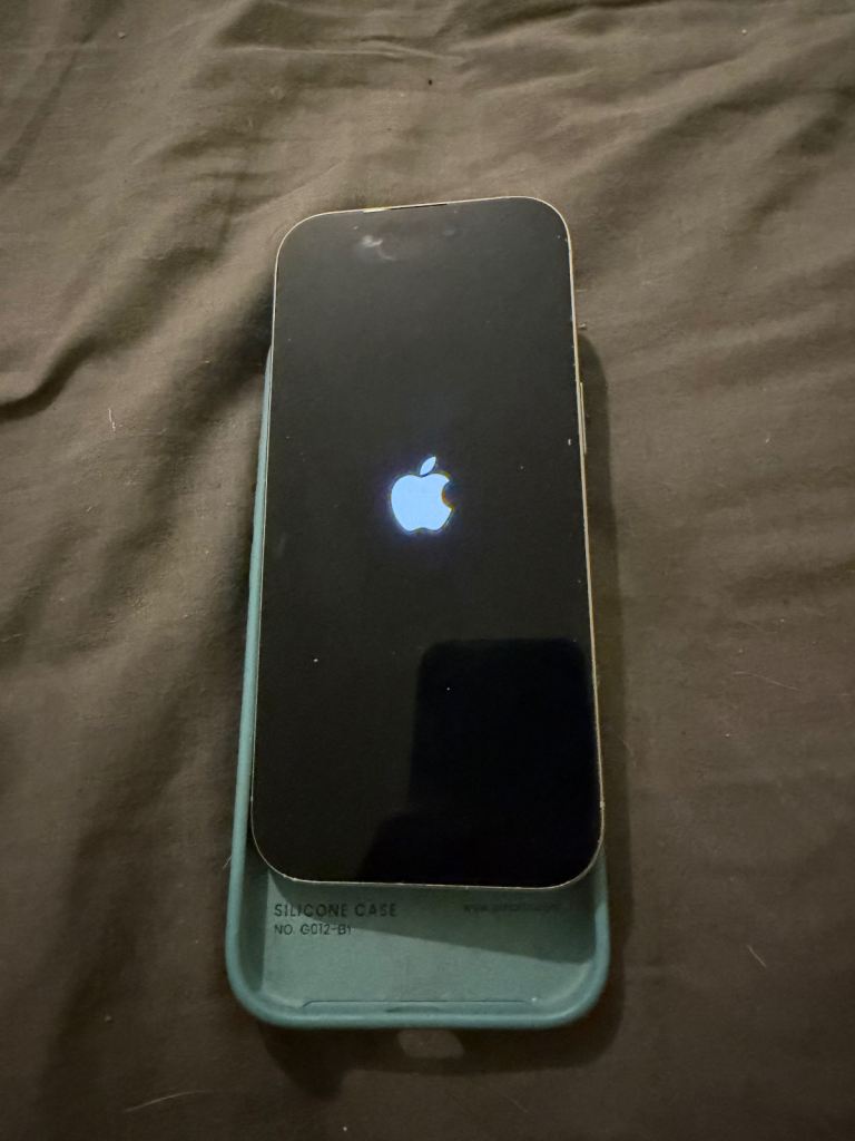 iPhone 16 Pro