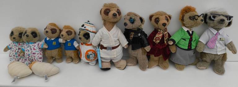 12x Compare the Meerkat bundle £15 for all