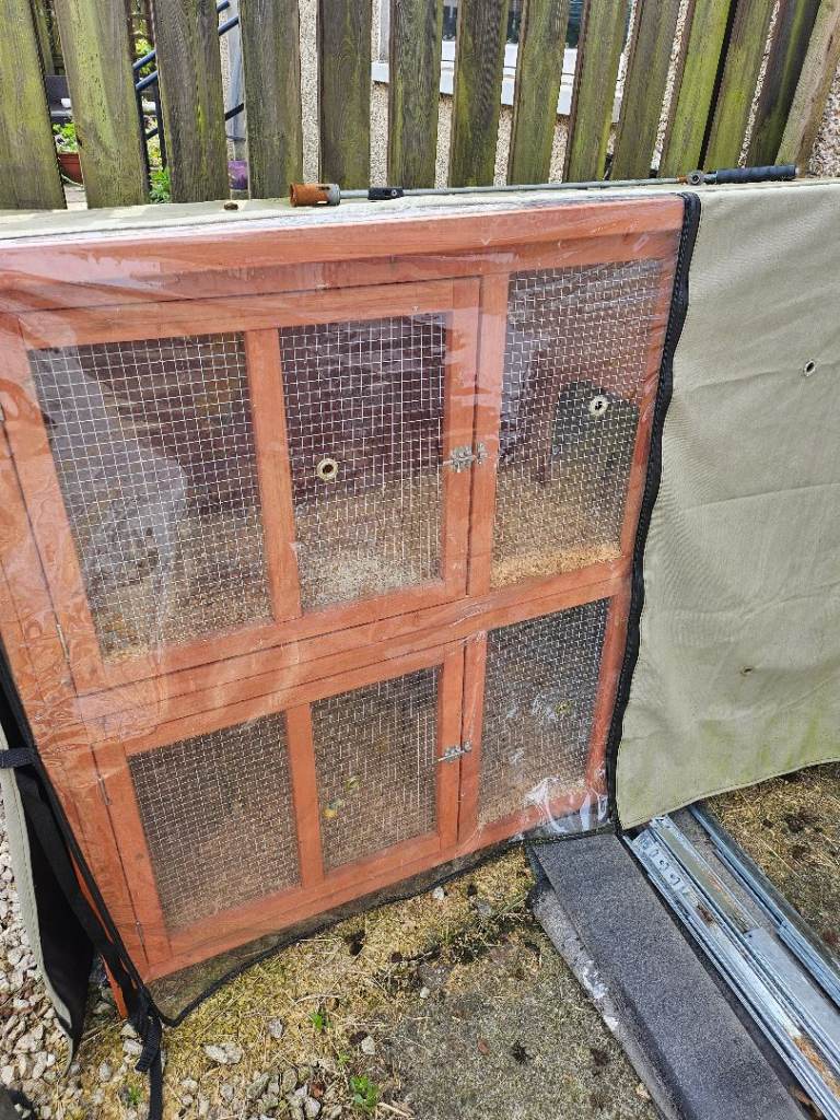 5ft guinea pig hutch