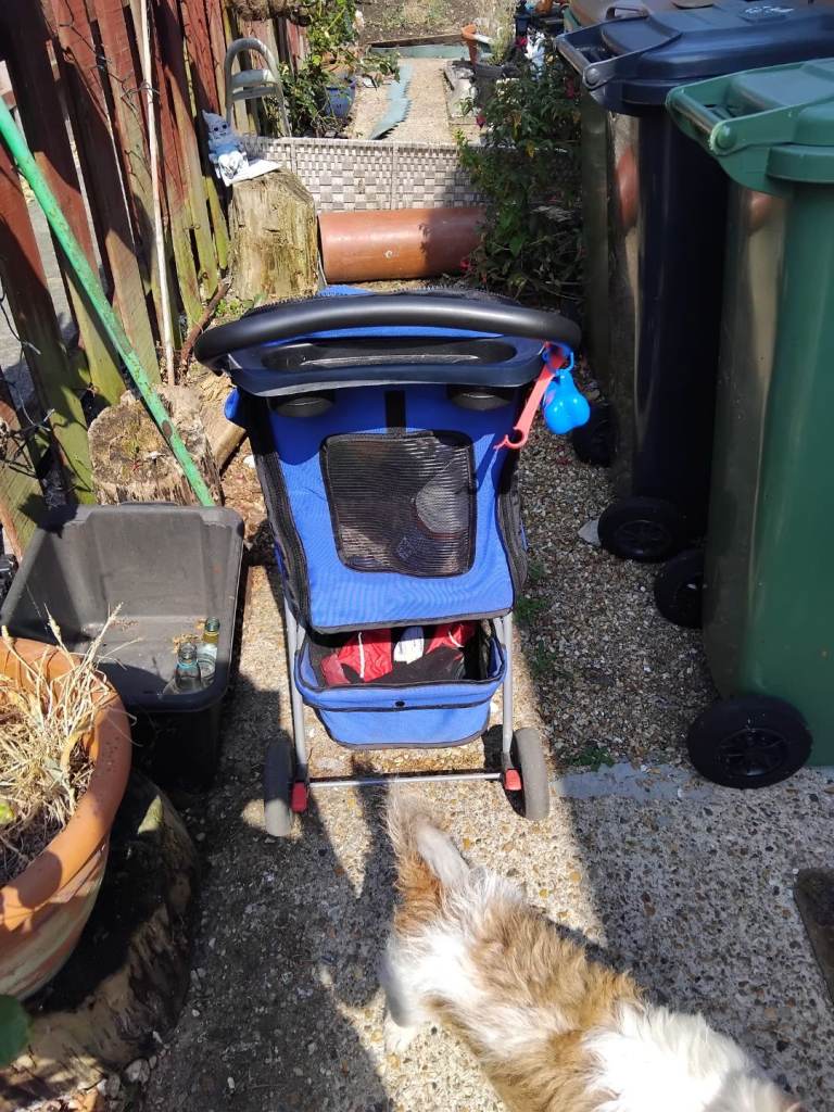 Dog buggy 