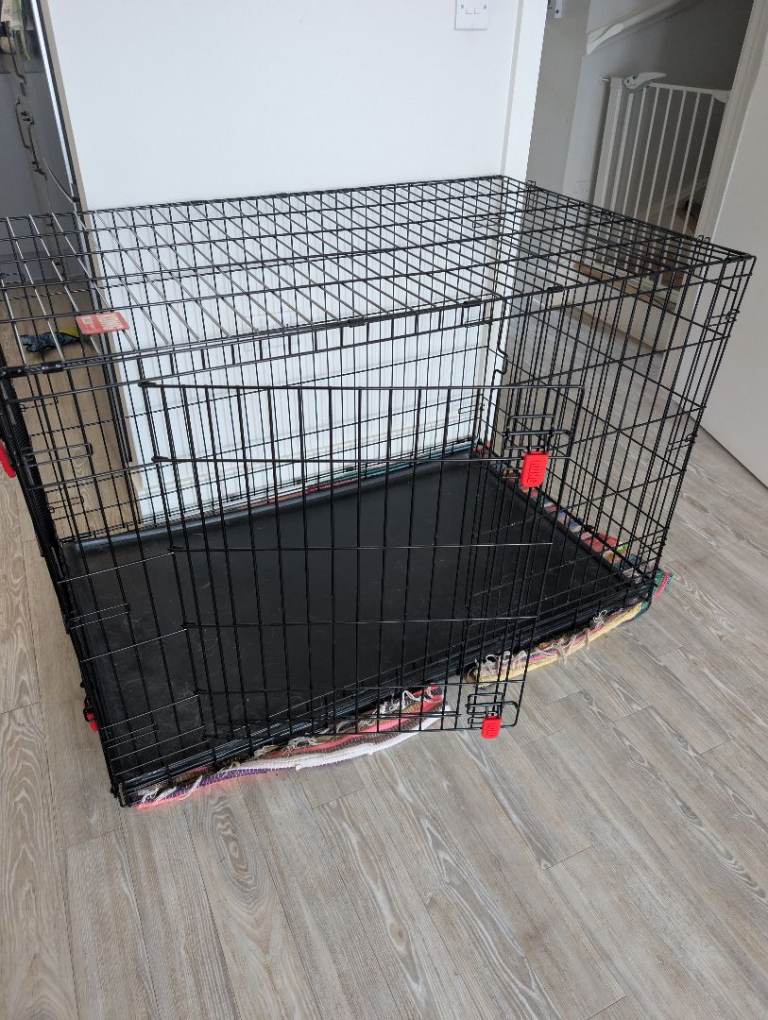 Kong X Large Crate Great Condition 