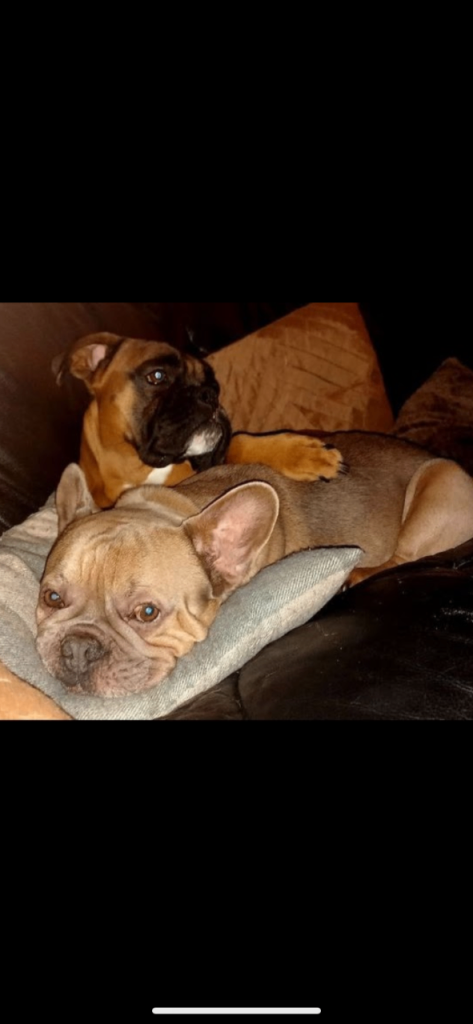 Charlie & Troy