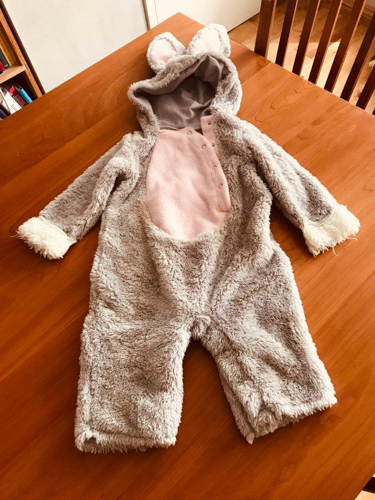 Costume, Bunny, Pottery Barn Kids Plush Deluxe (12-24 months) (World Book Day)