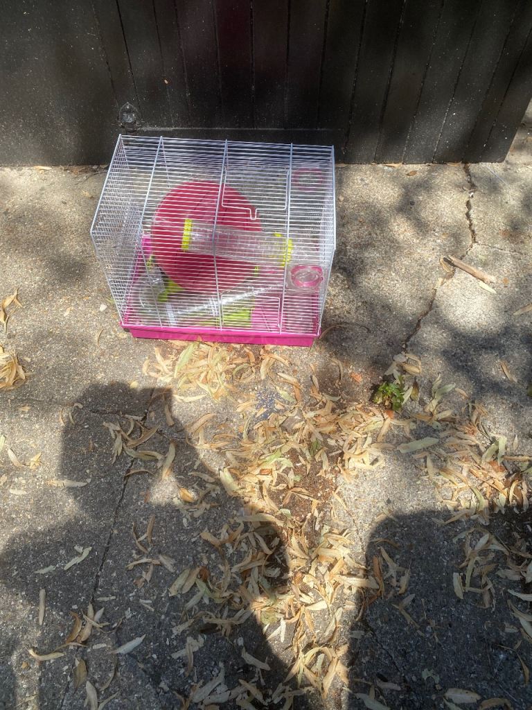 Hamster Cage