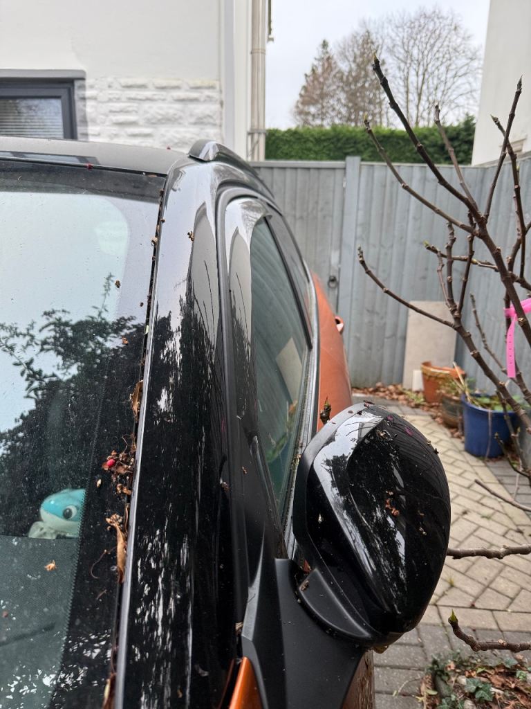 Wind deflectors for Peugeot 2008 (2020+)