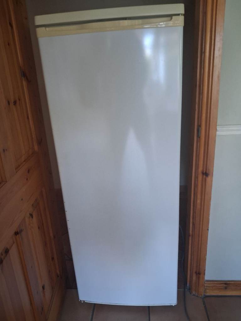 Free Standing Fridge