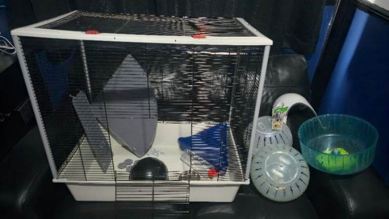 Rat cage and accessories 