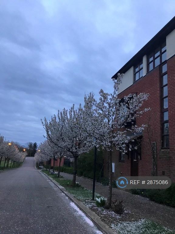 5 bedroom house in Adelphi Street, Milton Keynes, MK9 (5 bed) (#2875086)