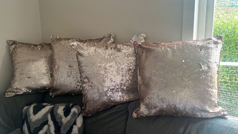 Four brand new cushions 