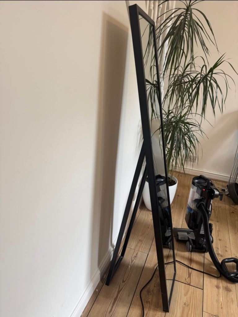  free Floor Standing Mirror or Wall-Mounted Long