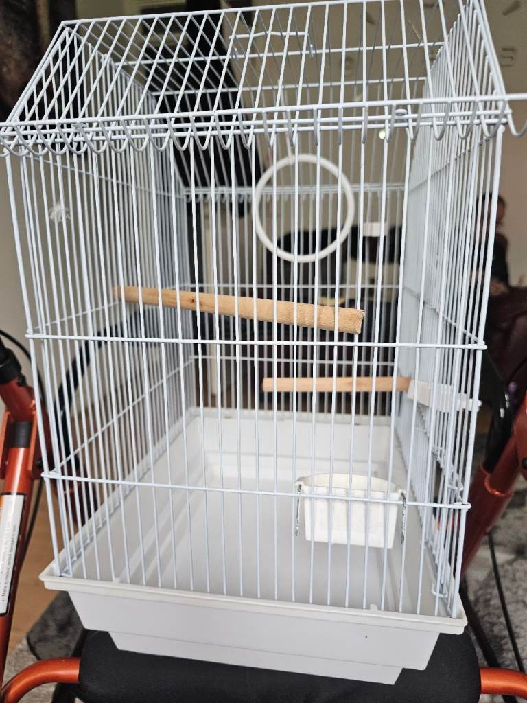 Budgie cage