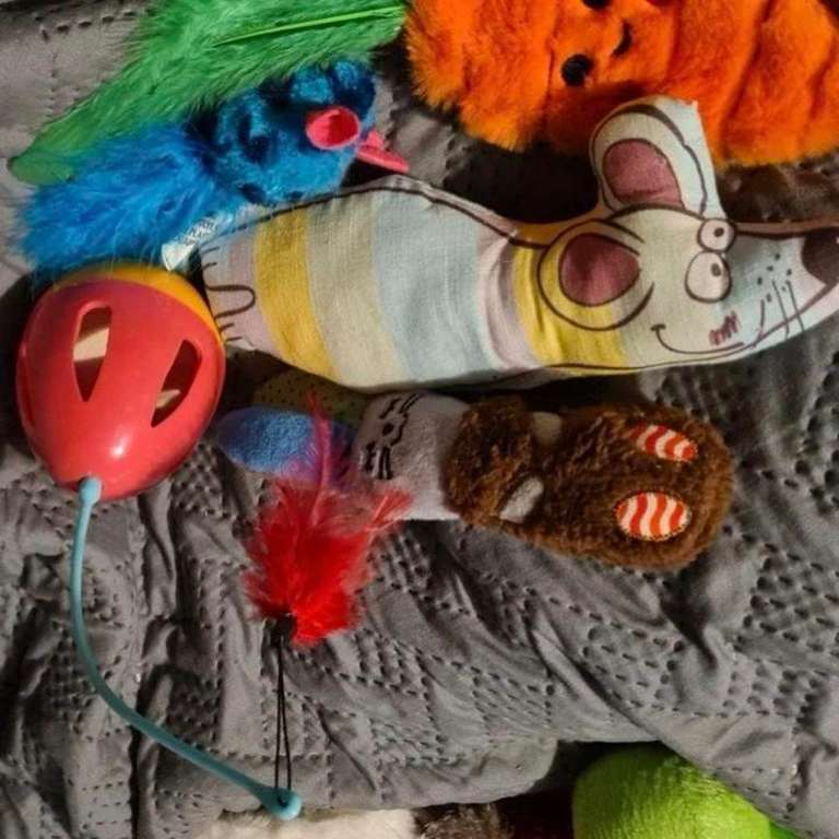 Cat toy bundle