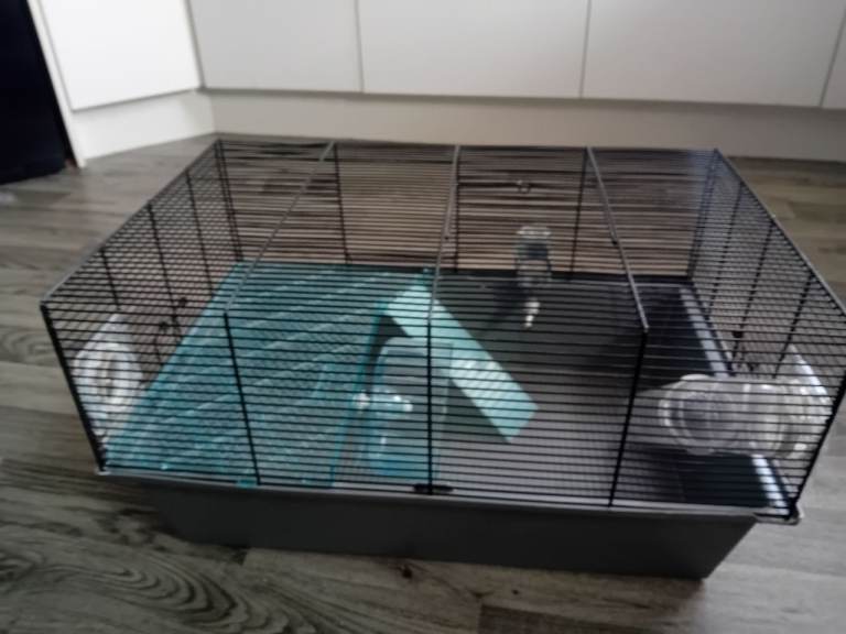 Hampster cage 