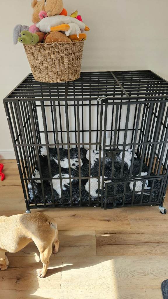 XL dog crate heavy duty