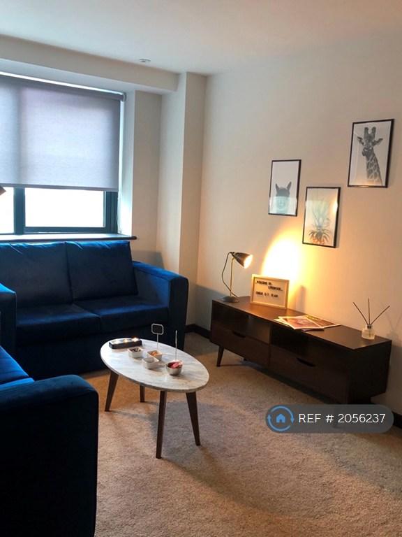 2 bedroom flat in Drury Lane, Liverpool, L2 (2 bed) (#2056237)
