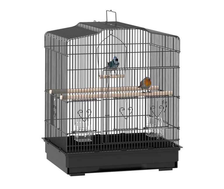 Bird cage 