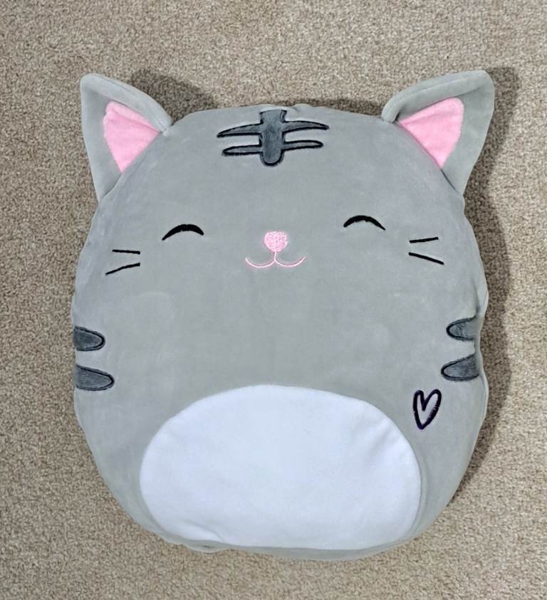 Kitty cat teddy/ pyjamas case