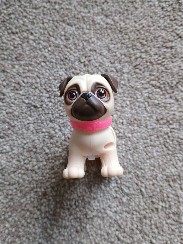 Adorable Toy Pug – Miniature Pet