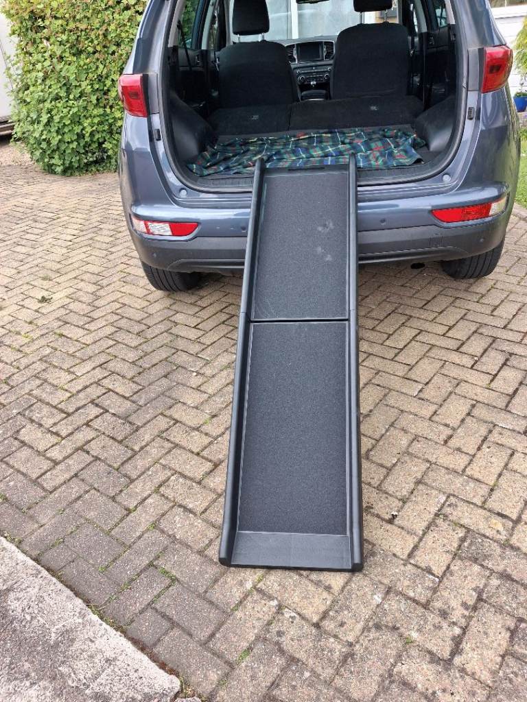 Dog ramp 