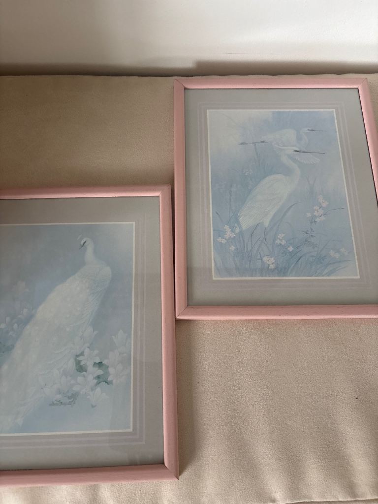 Pastel bird pictures 
