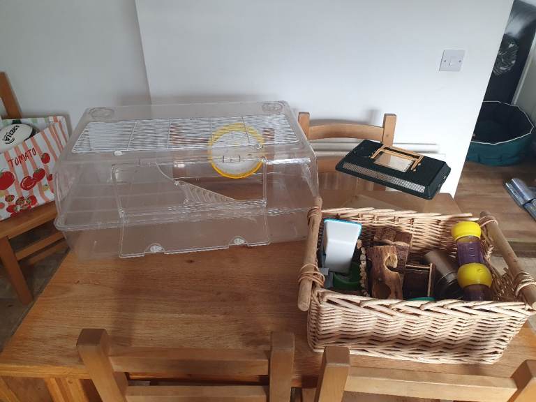 Cage / enclosure for dwarf hamster
