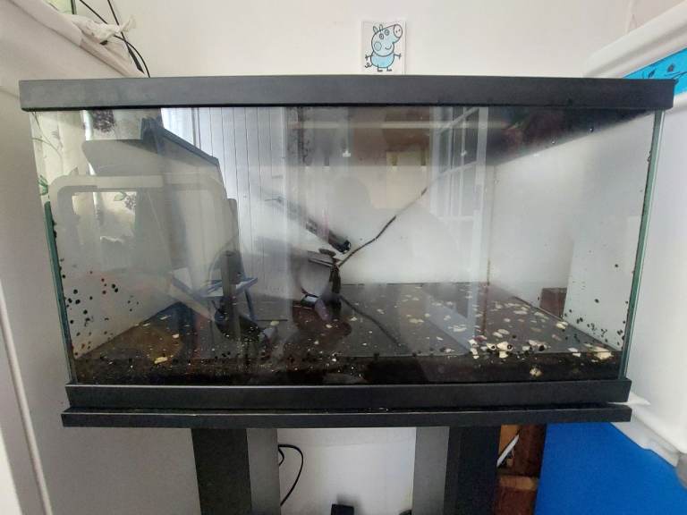 Fish tank with stand and accessories 