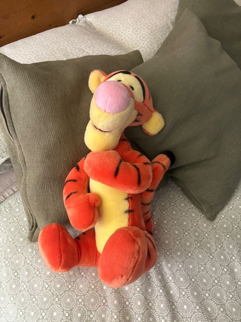 Tigger soft toy from Disney land Paris 