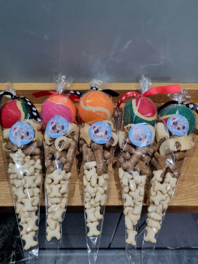 Christmas dog cones
