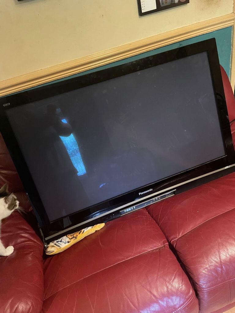 42 Inch Panasonic Tv