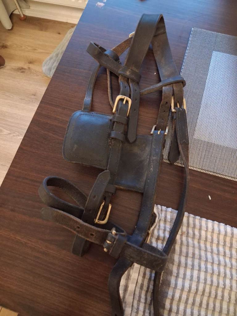 Small pony harness 