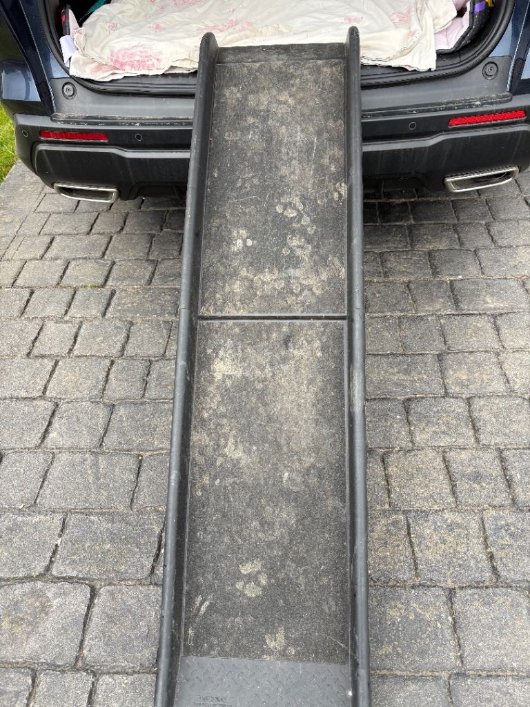Folding Dog ramp