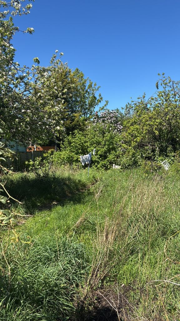 LODGER WANTED - DOUBLE ROOM