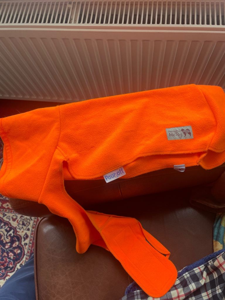 Dog coat